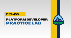 SF PLATFORM DEVELOPER PRACTICE LAB
